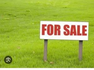 319sqm-of-land-vkhazEYkUOaulrtaw9hK