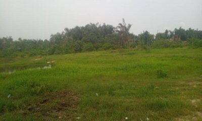 Acres-of-land